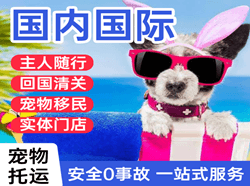 乌海航空空运国际宠物托运 【国